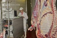 Rind schlachten 25