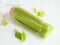 Stangensellerie 2