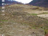 Wachau 12