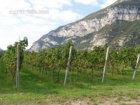 Gardasee 