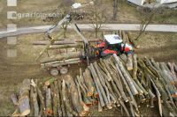 Holz Rückewagen 1