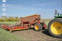 Weizen Saat J 33