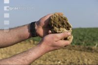 Soil 3