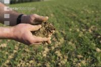 Soil 4
