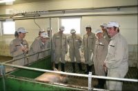 Course for animal husbandry J 11