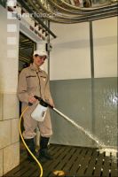 Schweinestall desinfizieren J 1