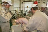 Course for animal husbandry J 4
