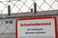 Schweinbestand J 1