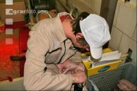Course for animal husbandry J 2