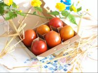 Osternest 3