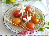 Osternest 1