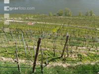 Wachau 6