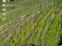 Wachau 14