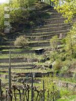 Wachau 10