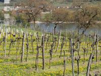 Wachau 2