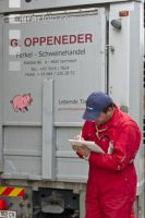 Schweine verladen 10