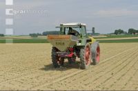 Beet fertilisation 1