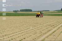 Beet fertilisation 10