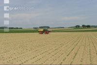 Beet fertilisation 2