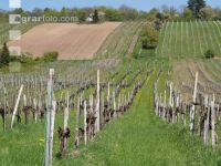 Neustift am Walde 1