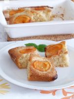 Marillenkuchen 6