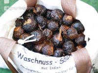 Waschnüsse 1