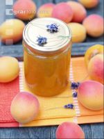 Marillenmarmelade 5