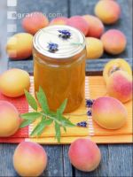 Marillenmarmelade 2
