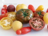 Tomatenvielfalt 12