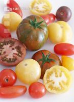 Tomatenvielfalt 11