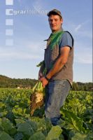 Sugar Beet 11