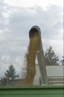 Gerste Ernte 82