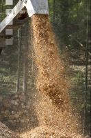 Wood chips 19