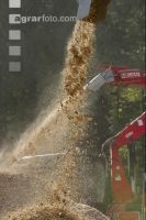 Wood chips 18