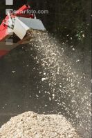 Wood chips 16