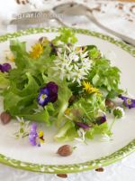 Wildkräutersalat mit Blüten 2