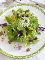 Wildkräutersalat mit Blüten 1