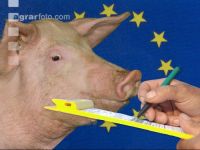 Mastschweine EU 2