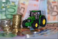 Investitionen  6