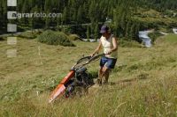 Alm Heuarbeit 2