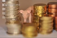 Finanzen Schweine 34