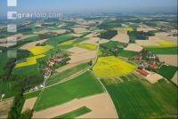 Best of Fotos