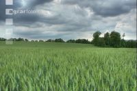 Gewitter kommt 2