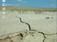 Risse im Boden 3