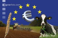 Agrargelder EU 6