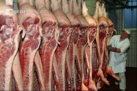 Schlachten Schwein 25