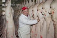 D: Schweinejahr 2011 geizt nicht mit Rekorden