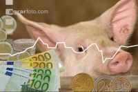Mastschweine Preis 3