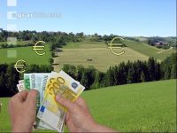 Pachtpreis Grünland