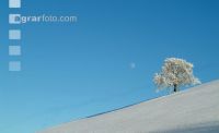 Verschneit 4 ID22276 7